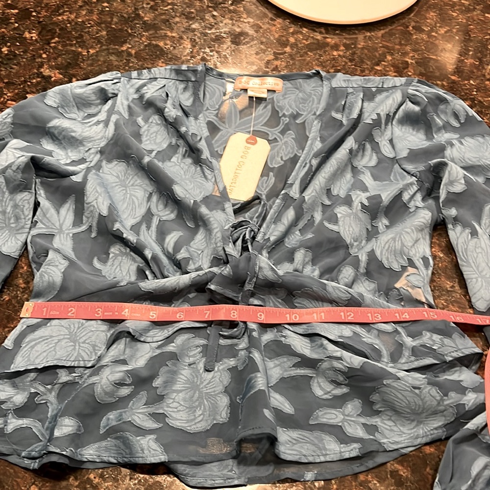 NWT BOG Collective blouse. Sheer clipped jacquard- deep turquoise Large Juniors - Picture 6 of 8